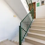 Center C 内尔哈