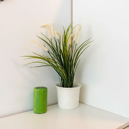 Apartament Center C